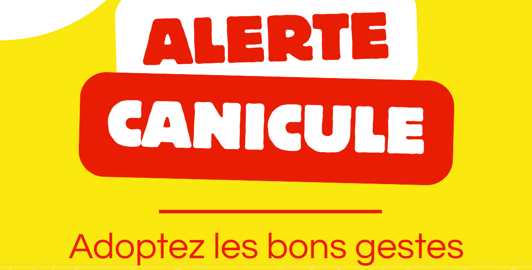 Alerte canicule !